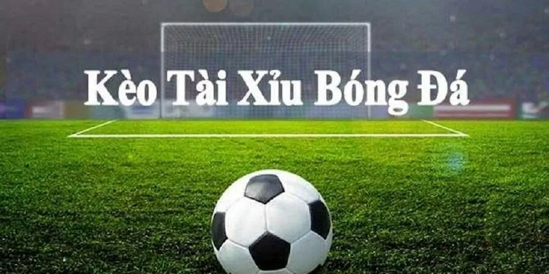 jun8888 nhà cái uy tín hàng đầu